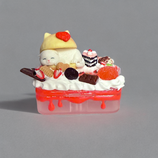 Decoden Pill Box - Mofusand Cat Strawberry Cream Puff Kawaii Junk Case Container